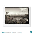 Load image into Gallery viewer, Greetings Cards - Achill Island Photographic - A6 VARIOUS DESIGNS