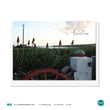 Load image into Gallery viewer, Greetings Cards - Achill Island Photographic - A6 VARIOUS DESIGNS