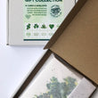 Load image into Gallery viewer, Irish Greeting Cards Gift Box Collection