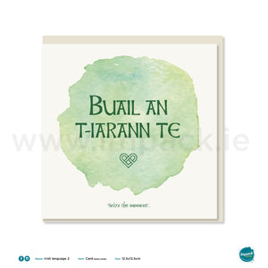 Irish Greetings Card - “Seize the Moment”