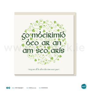 Irish Greetings Card - “May we all be alive this time next year”