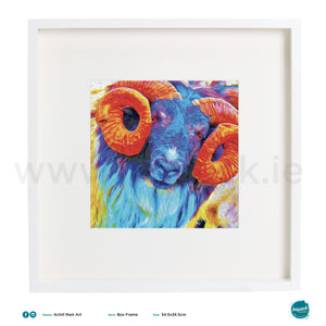 'Ram', Print in a white box frame